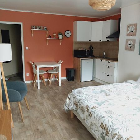 Superbe Grand Studio Tout Confort Avec Exterieur Poussan Eksteriør billede